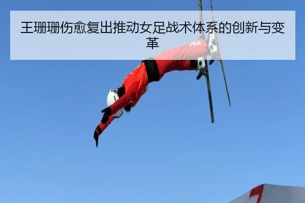 img_1781221333343_1383_2_438.jpg
